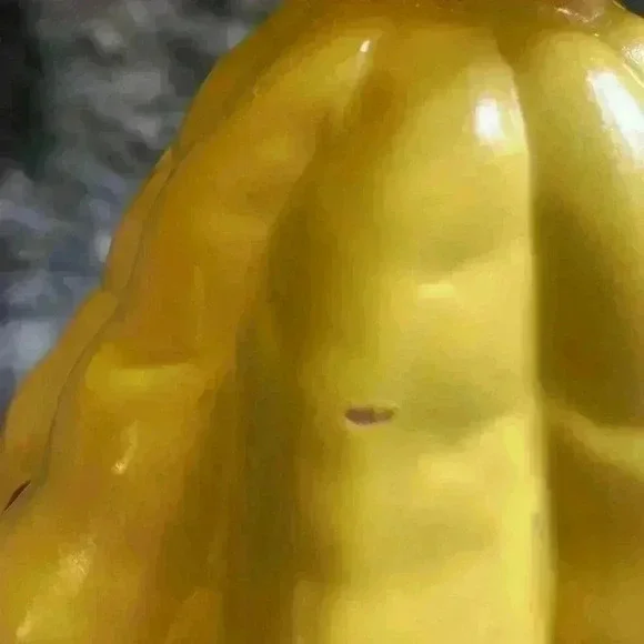 Disney Princess Belle Beauty & The Beast 10"
Coin Piggy Bank with Plug Cap - Picture 12 of 16